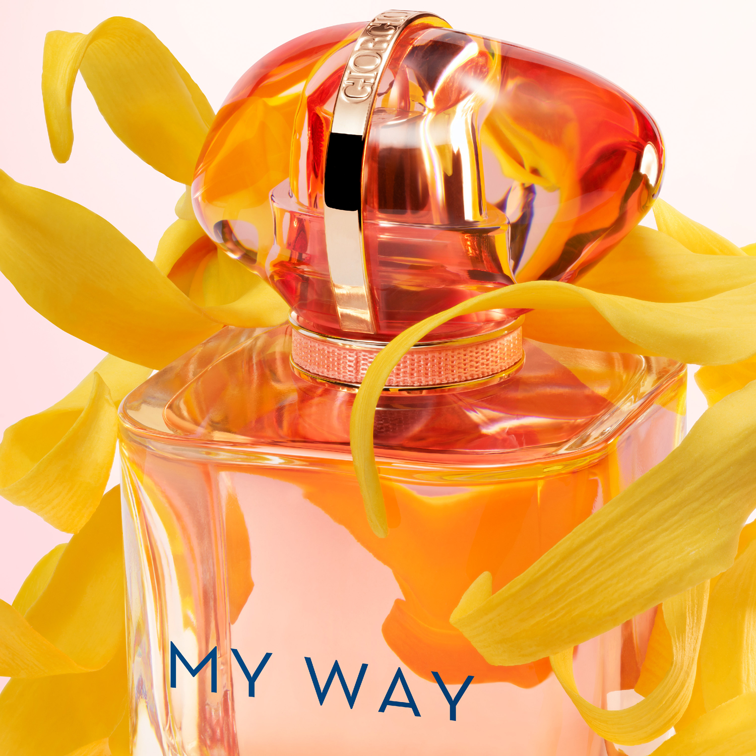 My Way Ylang