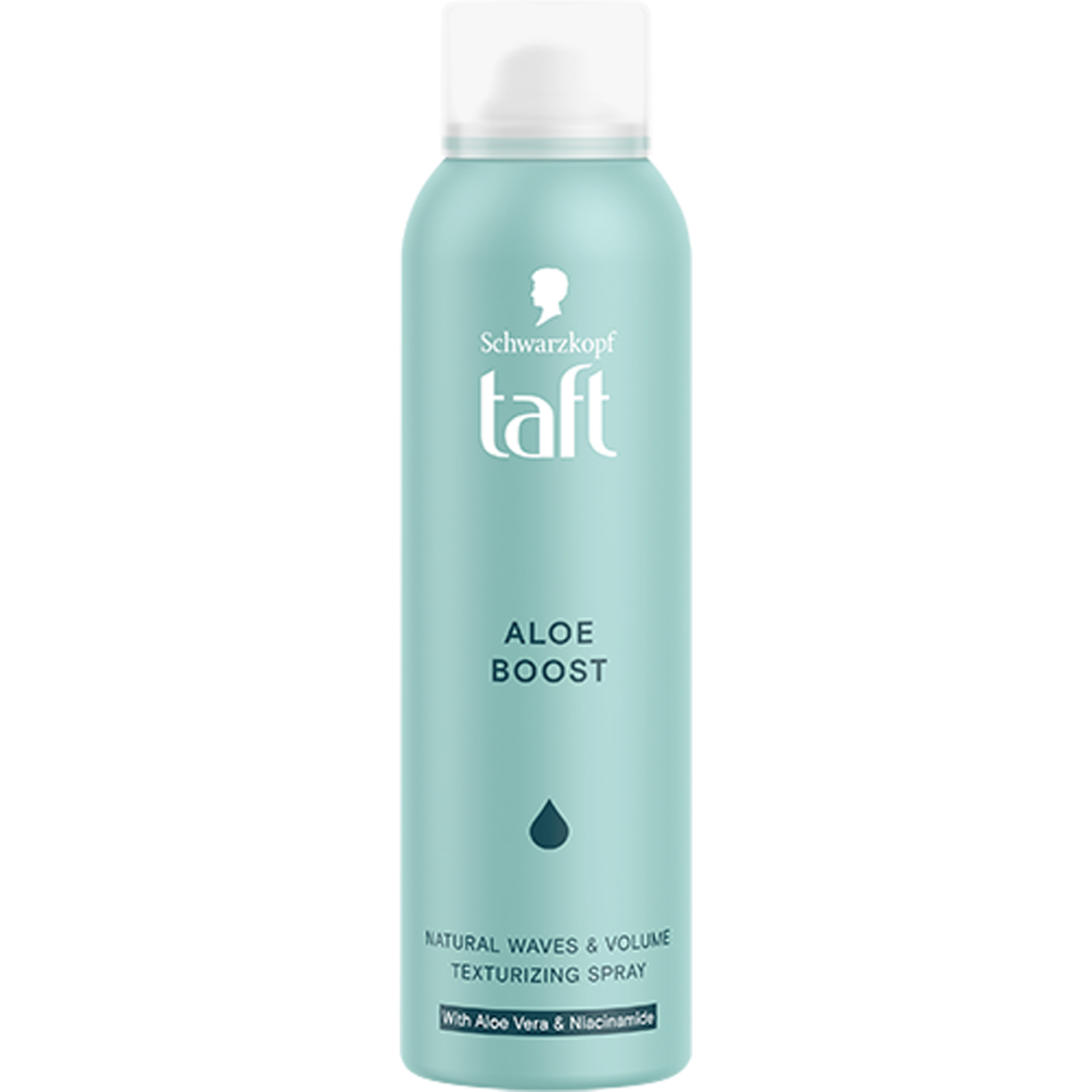 Aloe Boost Texturizing Spray