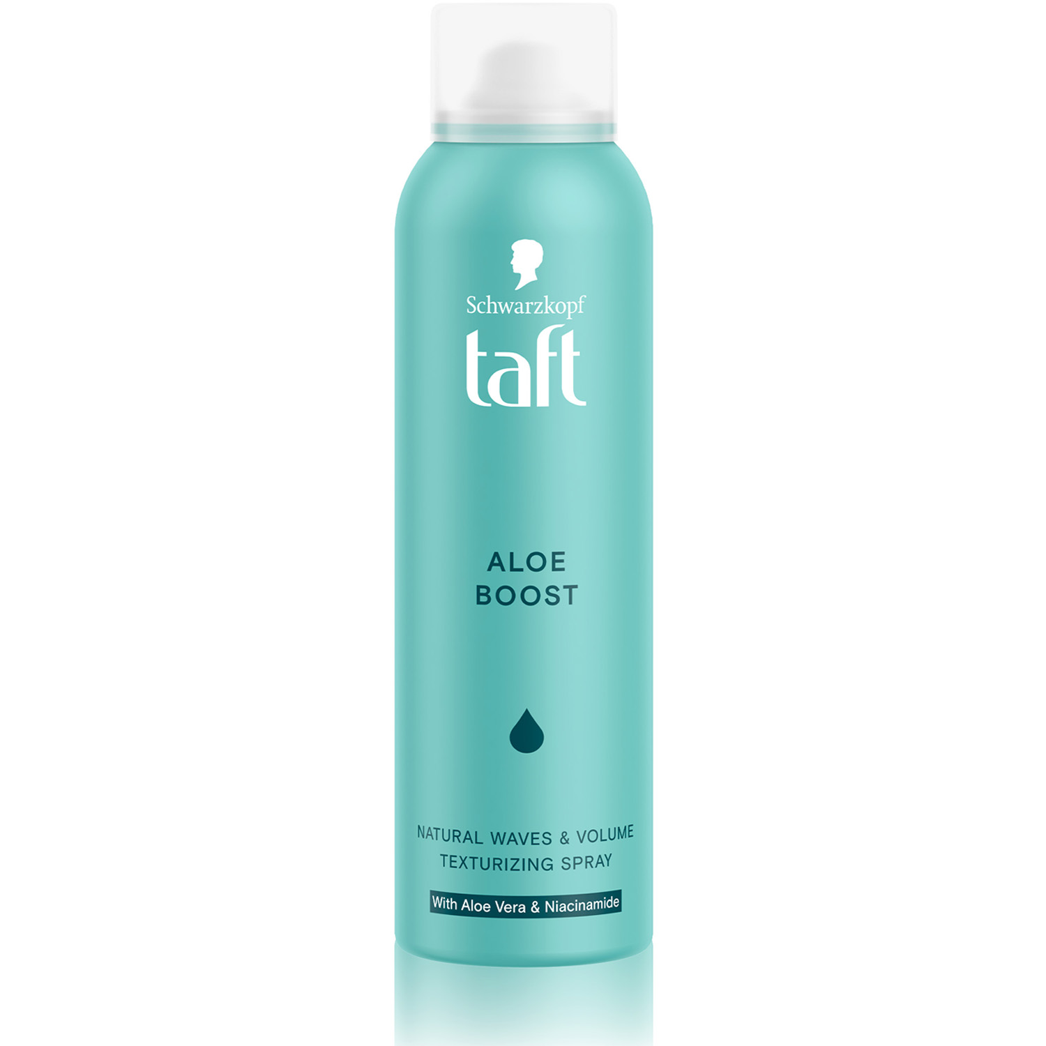 Aloe Boost Texturizing Spray