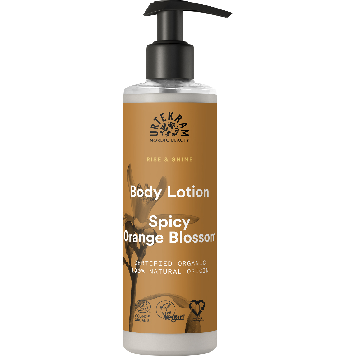 Body Lotion