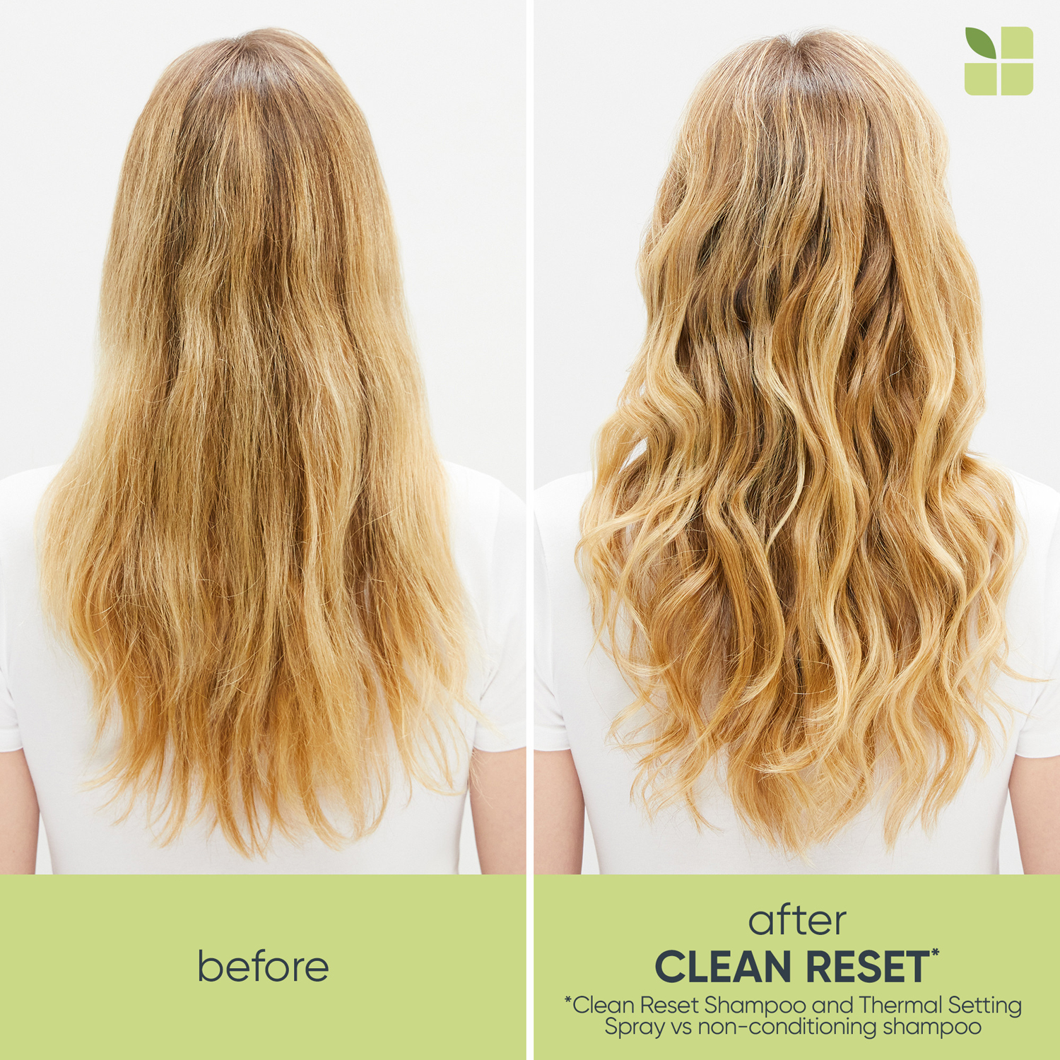 Clean Reset Normalizing Shampoo