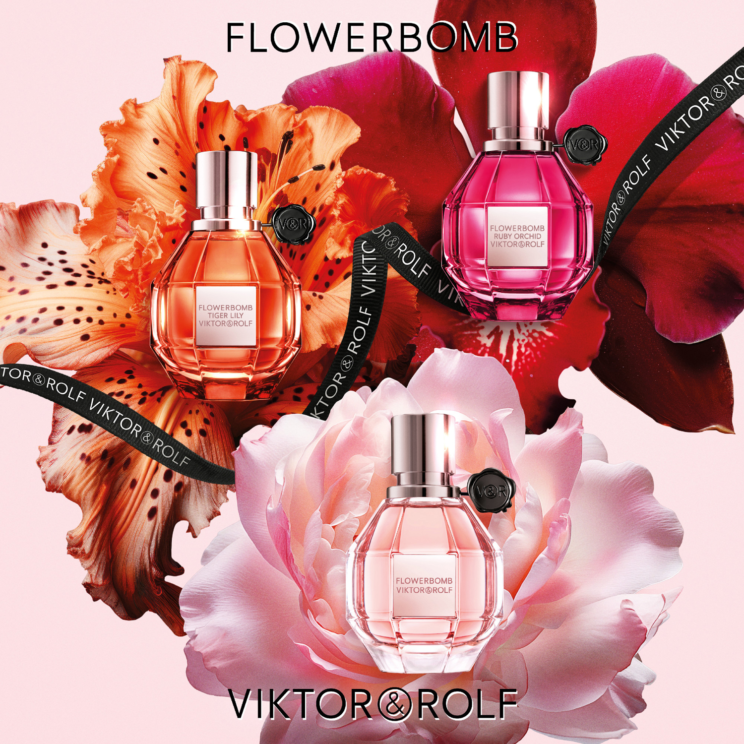 Flowerbomb Tiger Lily