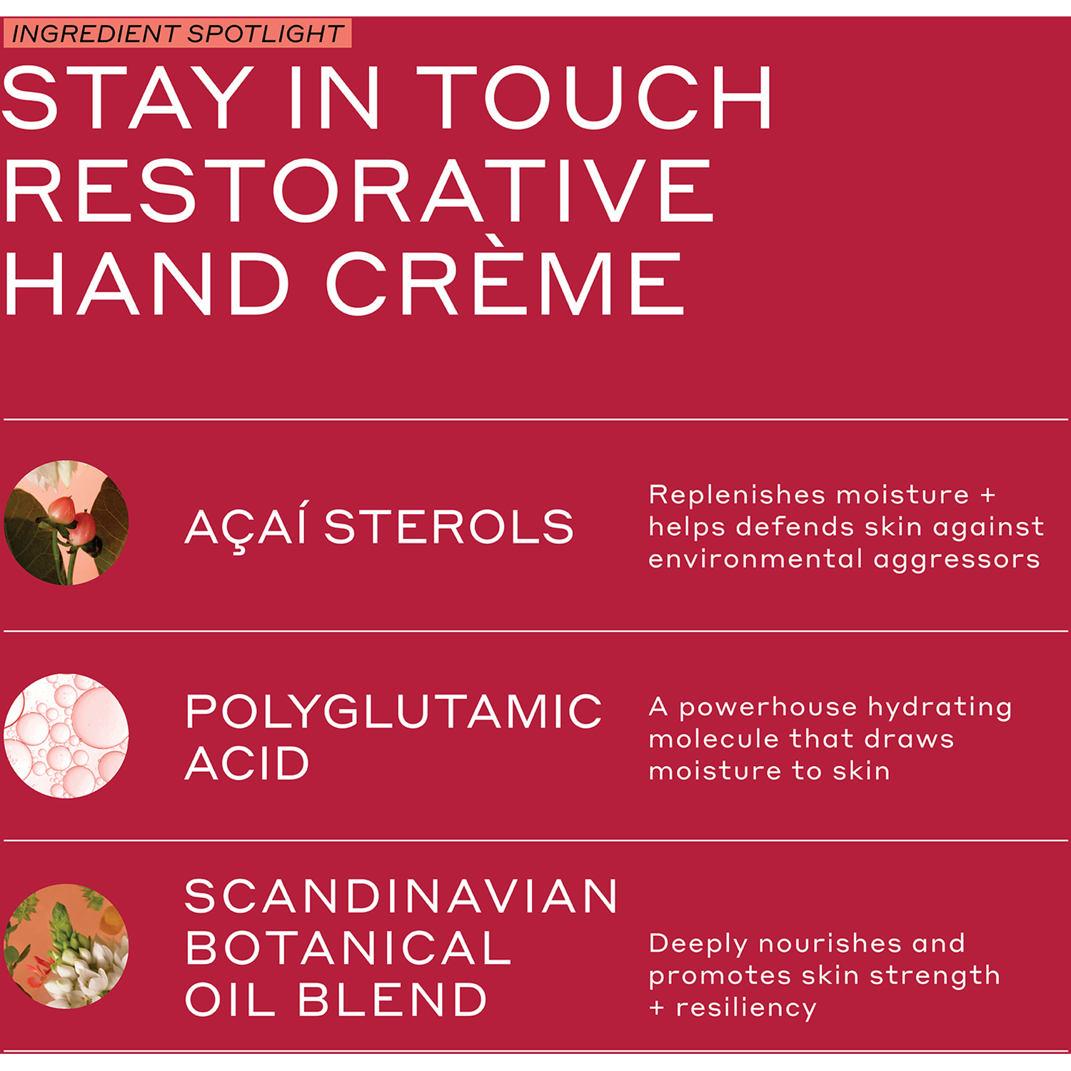 The Ole Touch Stay in Touch Restorative Hand Cream