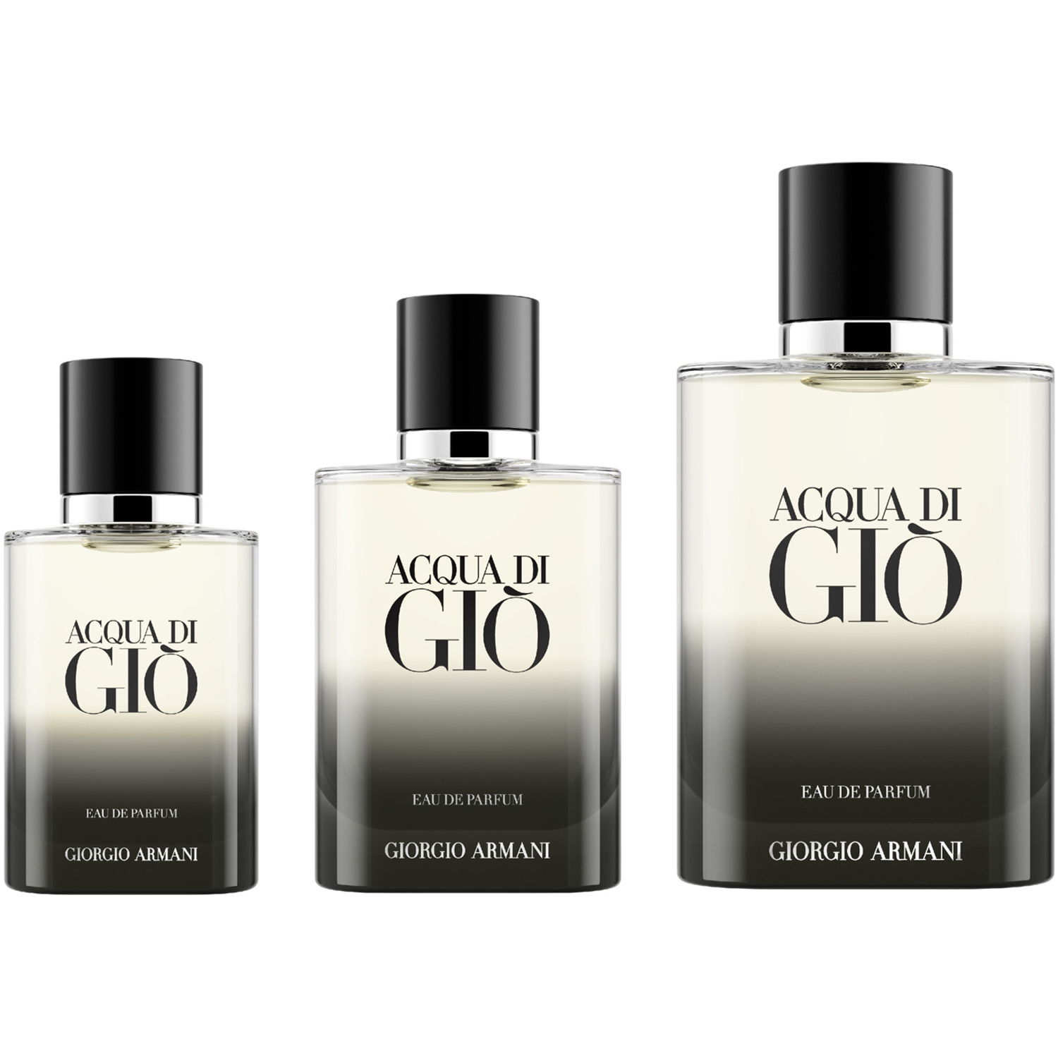 Acqua Di Gio Homme