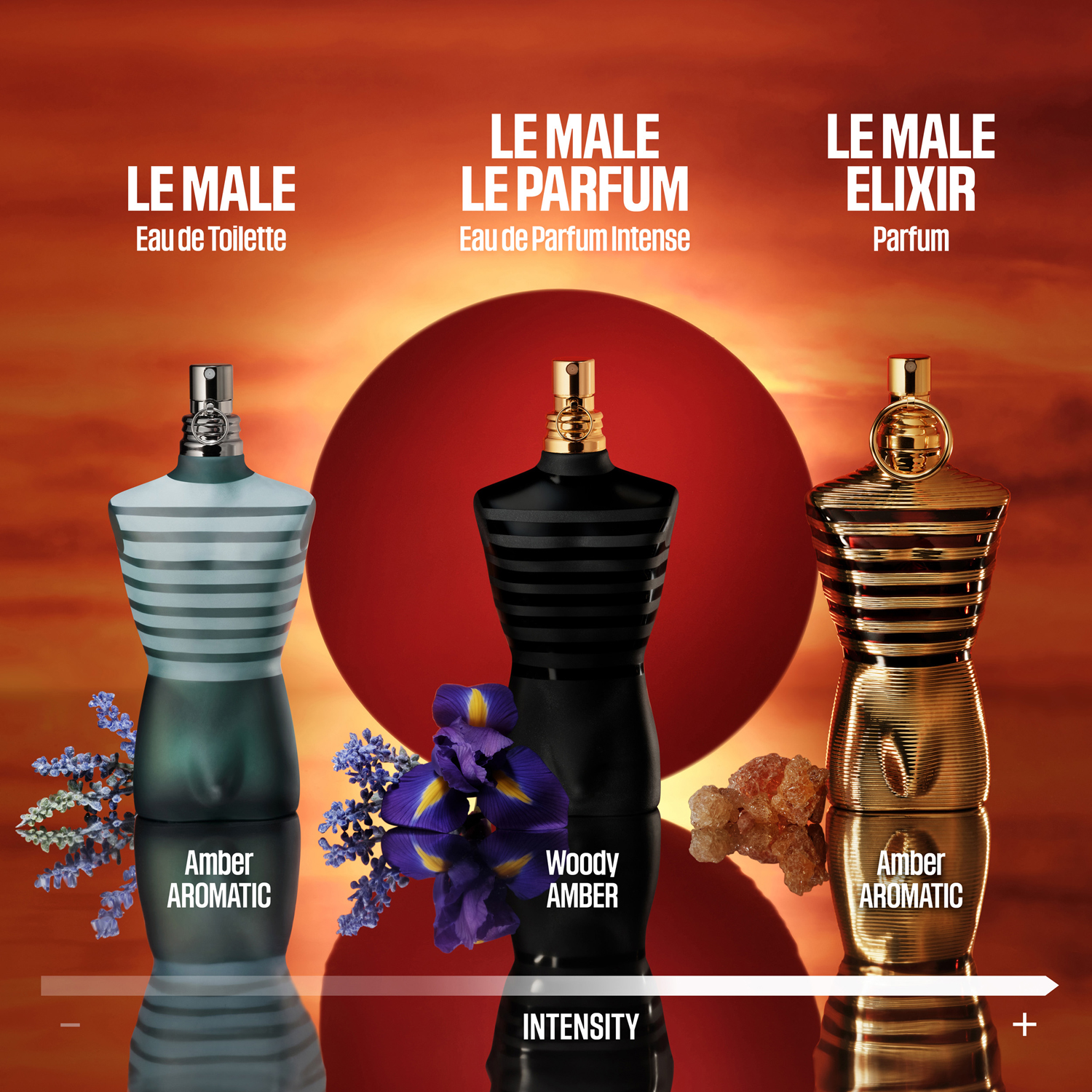 Le Male Elixir