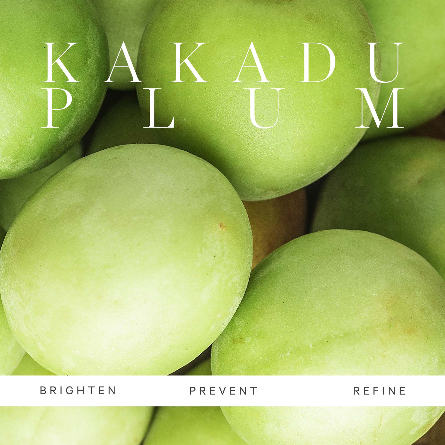 Kakadu Plum Vitamin C Serum