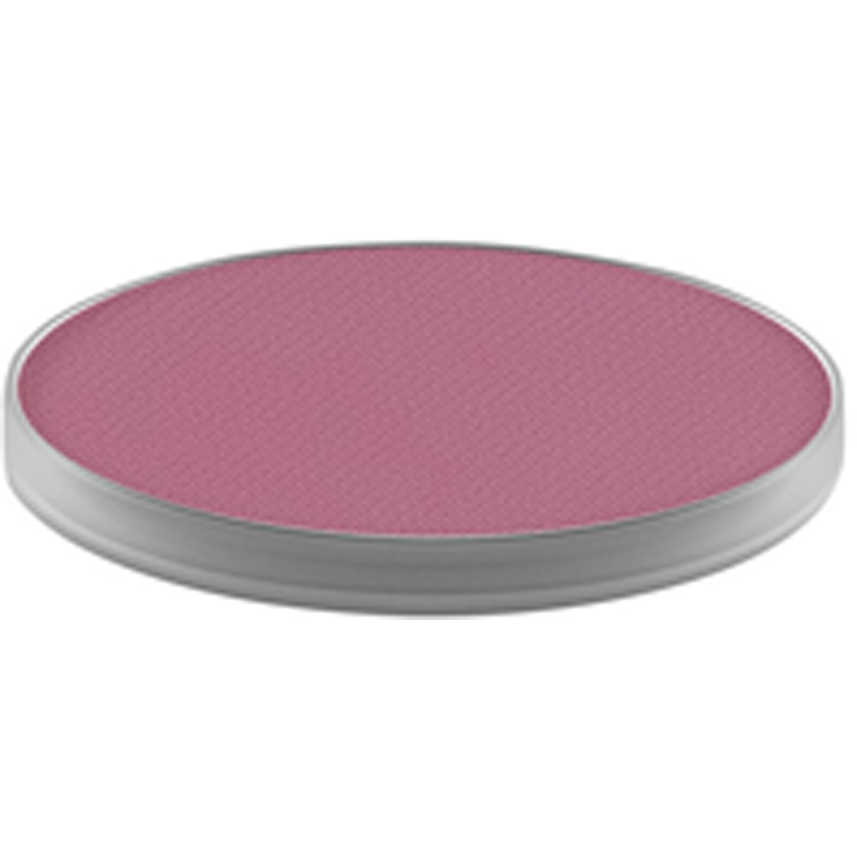 Powder Kiss Eye Shadow Pro Pale