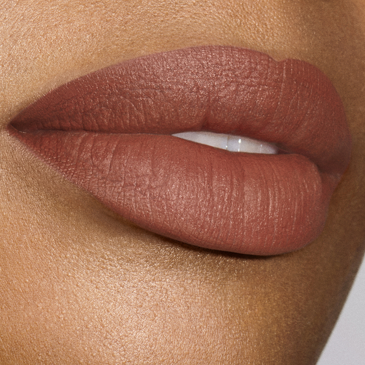 Pure Color Explicit Vellum Matte Lipstick